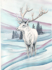 White Stag
